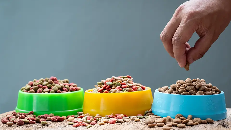 Pet Food