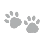 cat-2